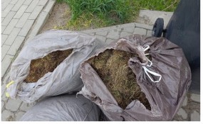 ZAKAZ UMIESZCZANIA ZIEMI W ODPADACH BIODEGRADOWALNYCH