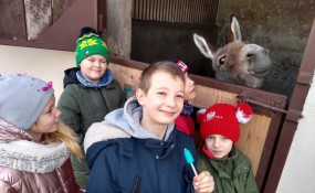 „Żywioły” z wizytą w Stajni Team w Skibnie