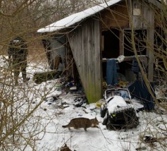 Z pomocą dla osób bezdomnych Z pomocą dla osób bezdomnych
