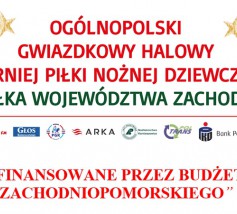 TURNIEJ GWIAZDKOWY W SIANOWIE TURNIEJ GWIAZDKOWY W SIANOWIE