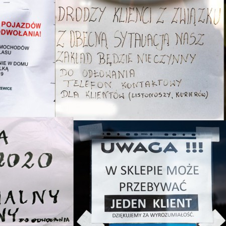 Wyświetl org. rozmiar