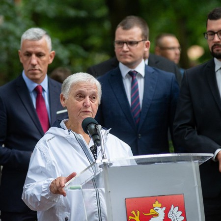 Wyświetl org. rozmiar