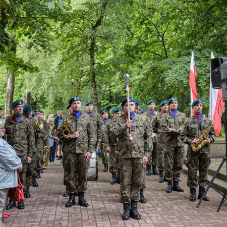 Wyświetl org. rozmiar