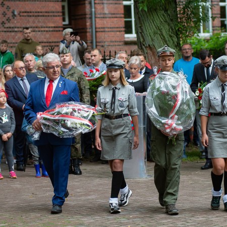 Wyświetl org. rozmiar