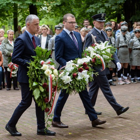 Wyświetl org. rozmiar