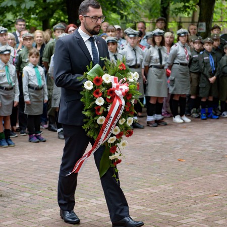 Wyświetl org. rozmiar