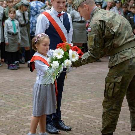 Wyświetl org. rozmiar