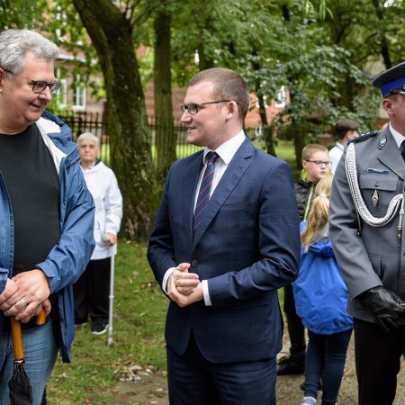 Wyświetl org. rozmiar