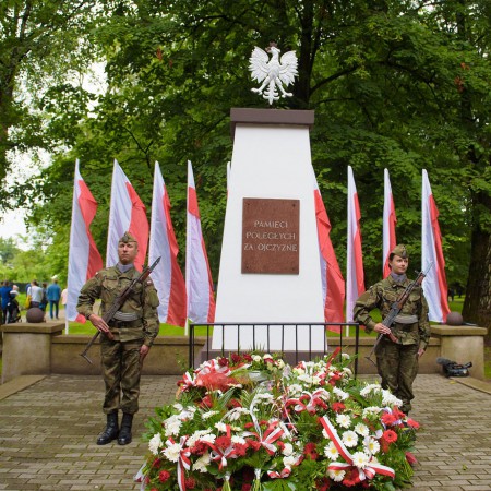 Wyświetl org. rozmiar