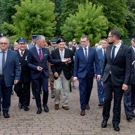 Wyświetl org. rozmiar