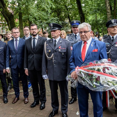 Wyświetl org. rozmiar