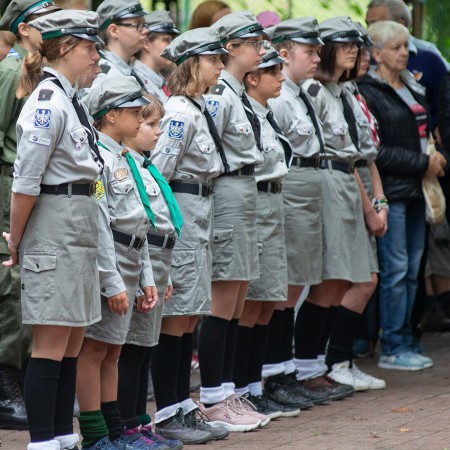 Wyświetl org. rozmiar