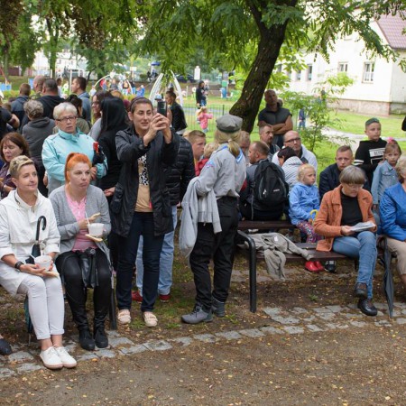 Wyświetl org. rozmiar