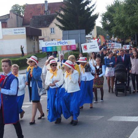 Wyświetl org. rozmiar