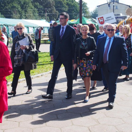Wyświetl org. rozmiar