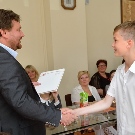 Wyświetl org. rozmiar