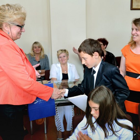 Wyświetl org. rozmiar