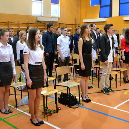 Wyświetl org. rozmiar