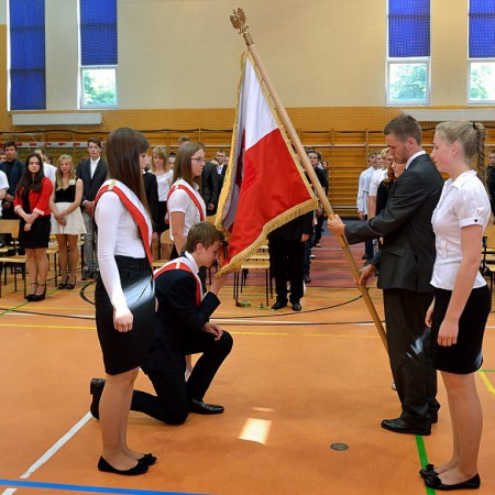 Wyświetl org. rozmiar