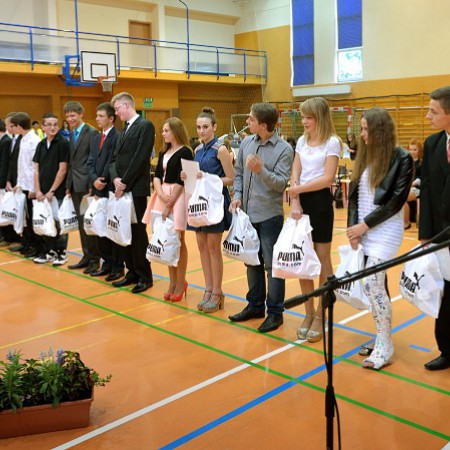 Wyświetl org. rozmiar