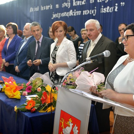 Wyświetl org. rozmiar