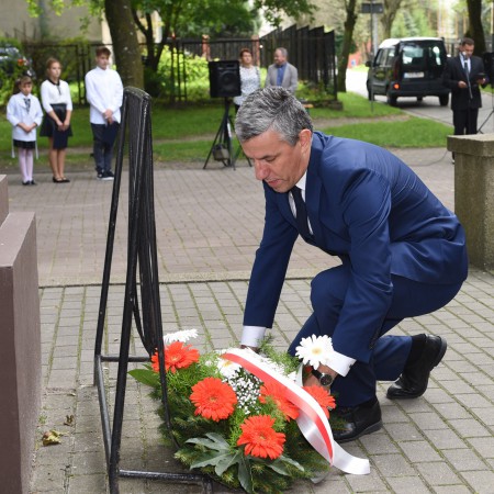 Wyświetl org. rozmiar