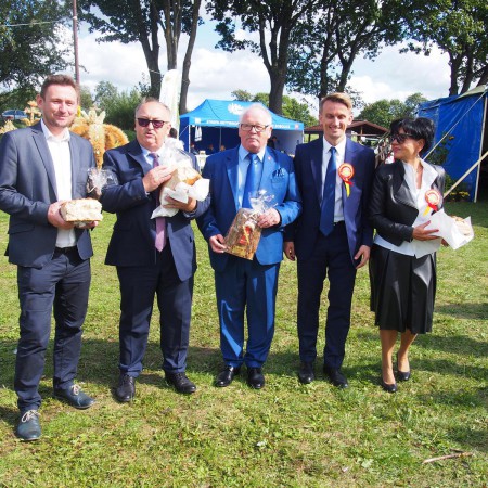 Wyświetl org. rozmiar