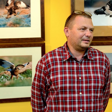 Wyświetl org. rozmiar
