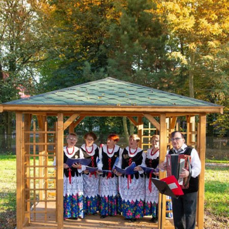 Wyświetl org. rozmiar