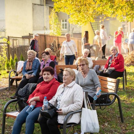 Wyświetl org. rozmiar