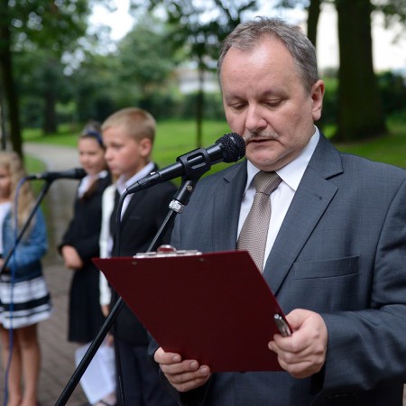Wyświetl org. rozmiar