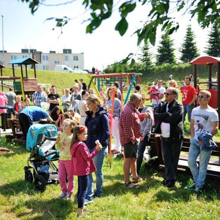 Wyświetl org. rozmiar