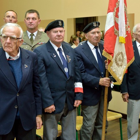 Wyświetl org. rozmiar