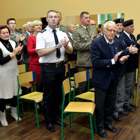 Wyświetl org. rozmiar