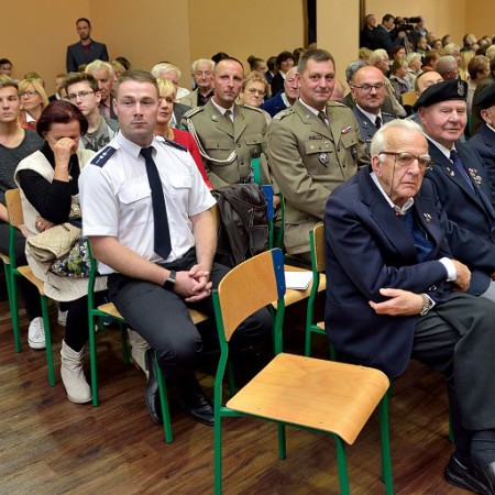 Wyświetl org. rozmiar