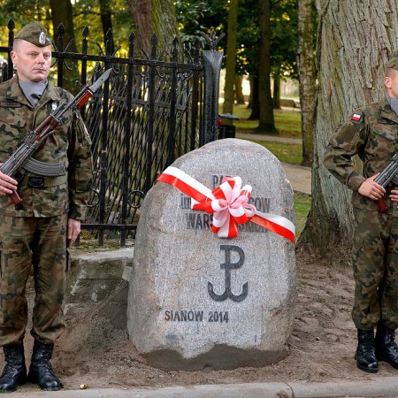 Wyświetl org. rozmiar