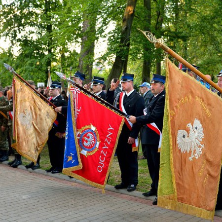 Wyświetl org. rozmiar