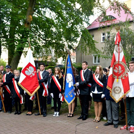 Wyświetl org. rozmiar