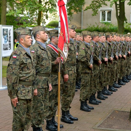 Wyświetl org. rozmiar