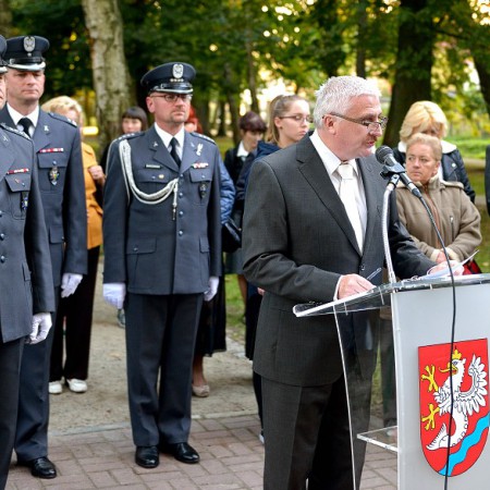Wyświetl org. rozmiar
