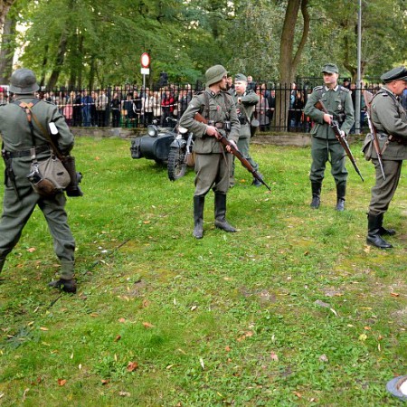 Wyświetl org. rozmiar