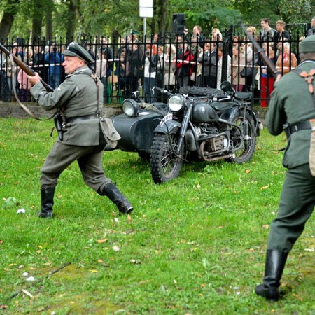 Wyświetl org. rozmiar