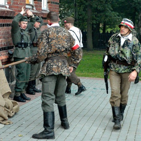 Wyświetl org. rozmiar
