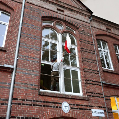 Wyświetl org. rozmiar