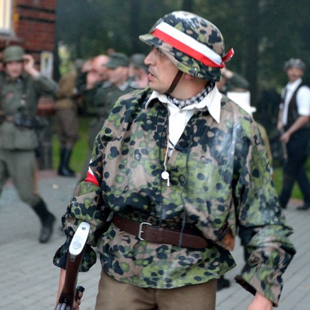 Wyświetl org. rozmiar