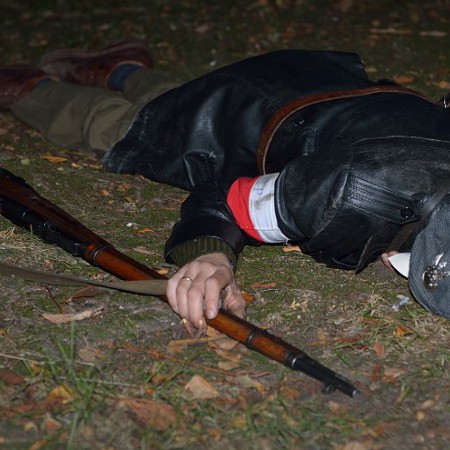 Wyświetl org. rozmiar