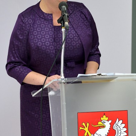 Wyświetl org. rozmiar