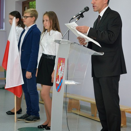 Wyświetl org. rozmiar