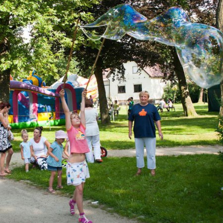 Wyświetl org. rozmiar