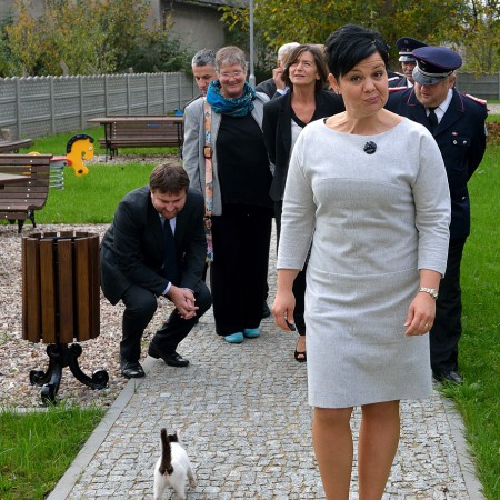 Wyświetl org. rozmiar
